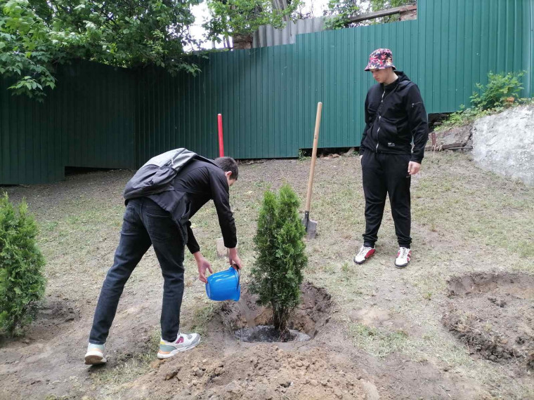 «САД ПАМЯТИ».